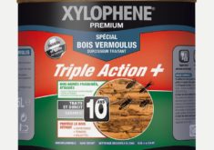 Abri de jardin xylophene
