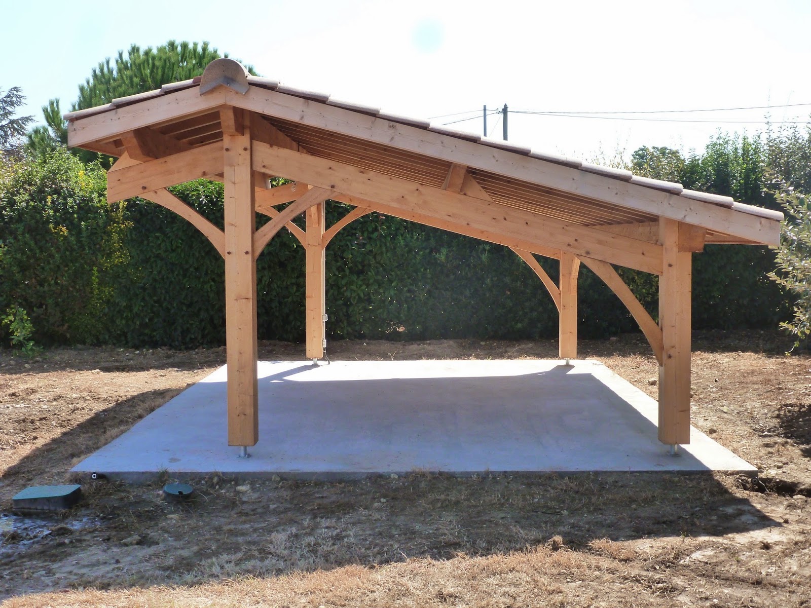 Abri jardin voiture bois
