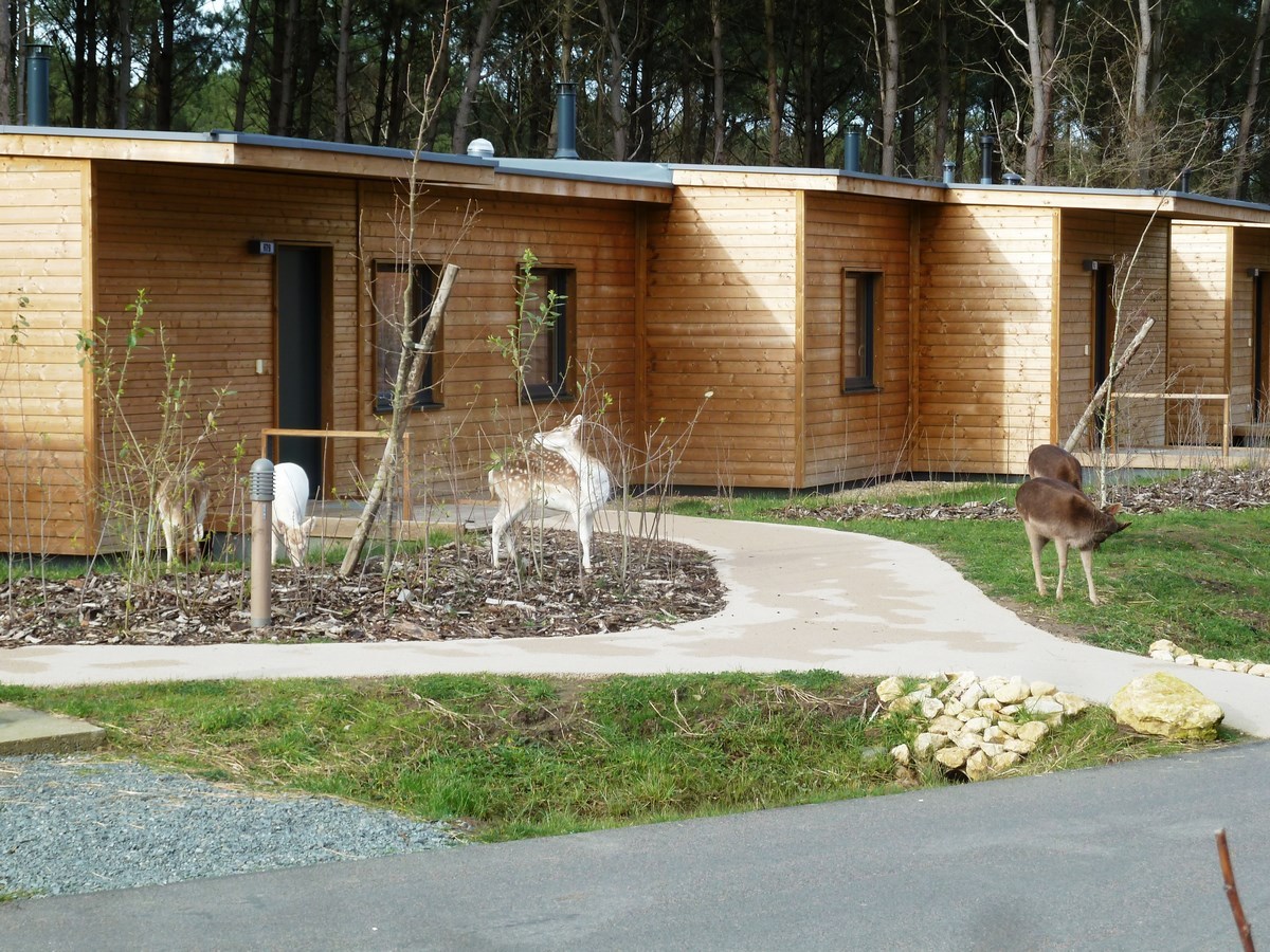 Prix cottage center parc vienne

