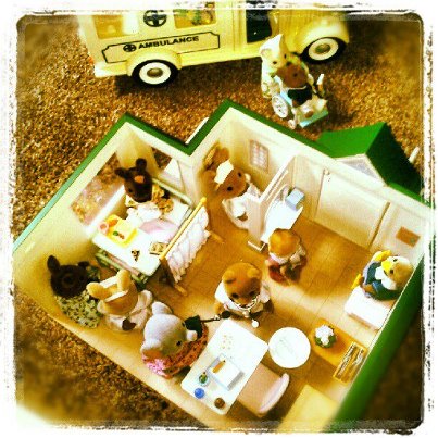Sylvanian cottage hospital
