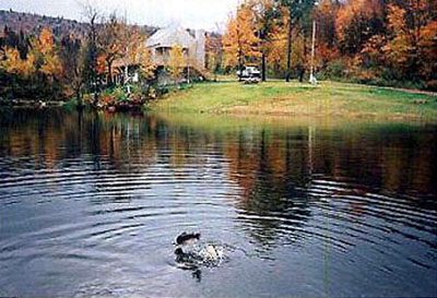 Chalet quebec lac beauport
