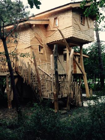 Center parc cottage dans les arbres