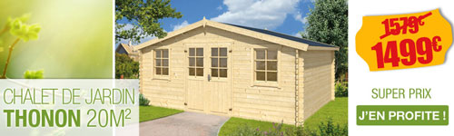 Abri jardin bois promo
