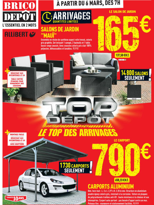 Abri de jardin en resine brico depot
