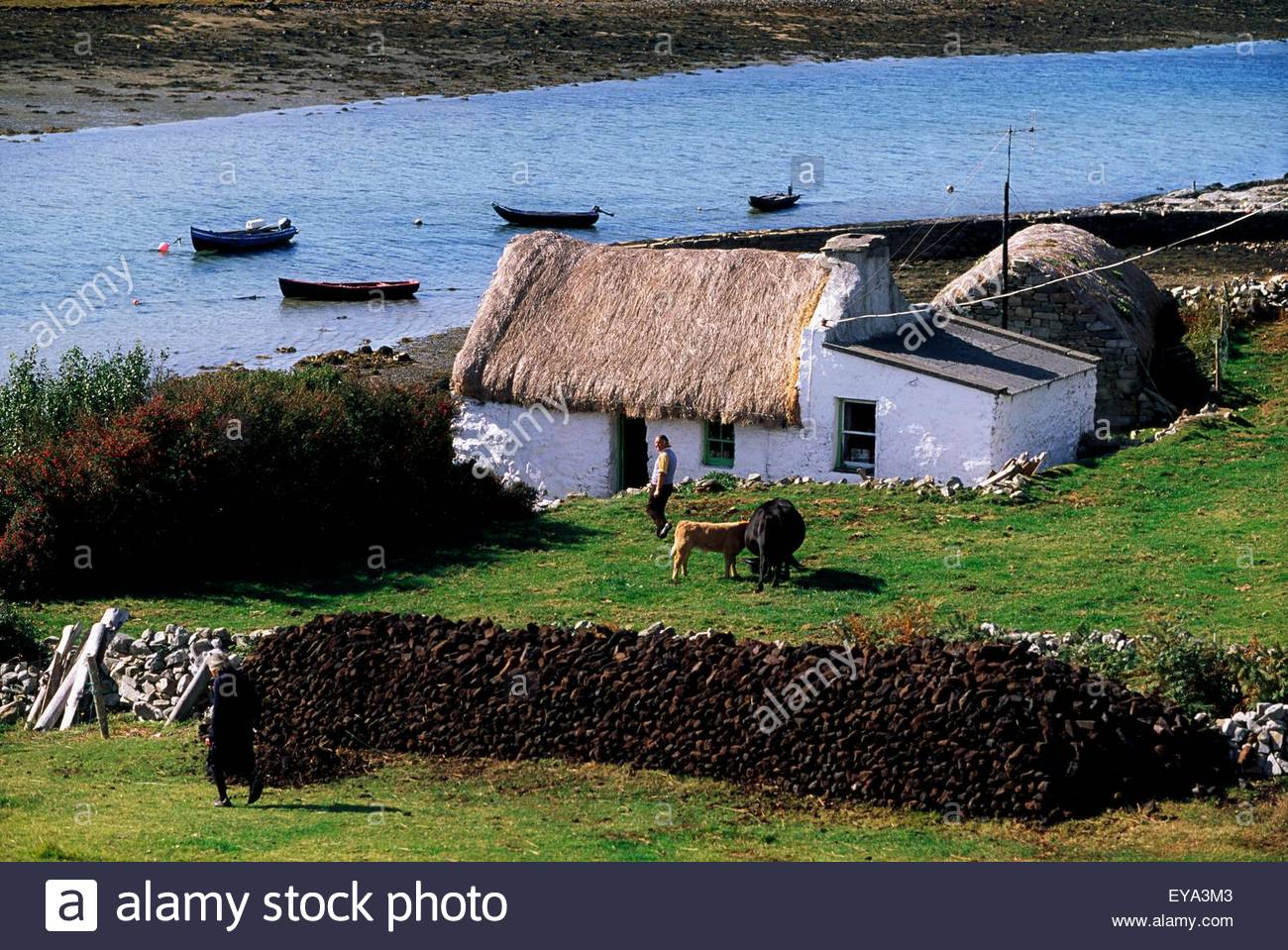 Cottage galway