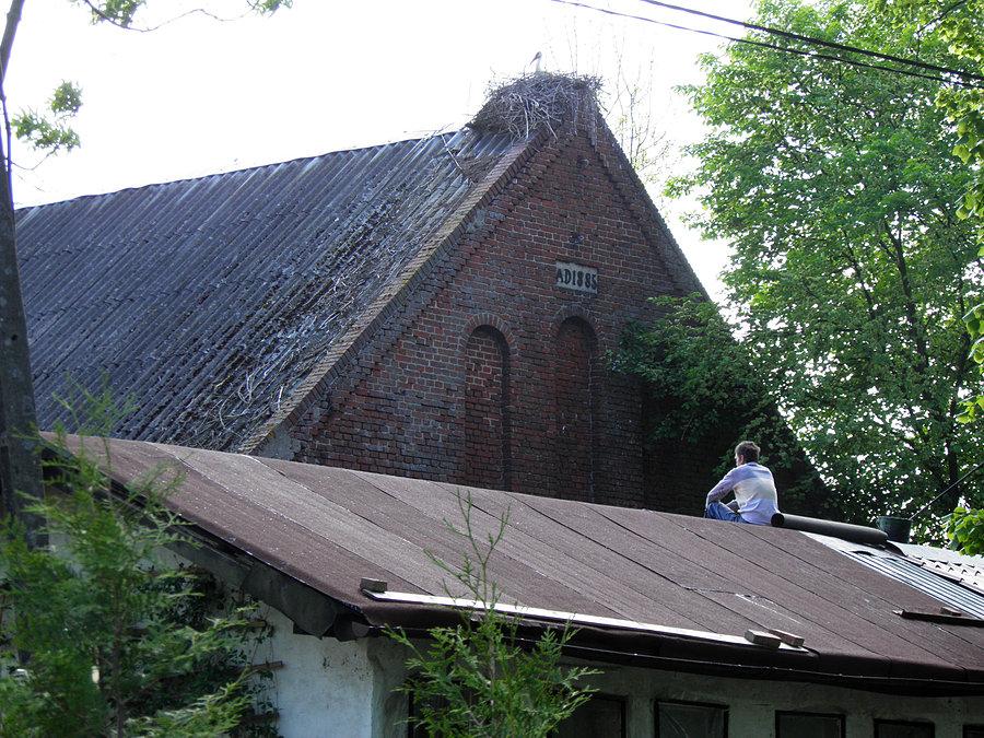 Cottage auchan
