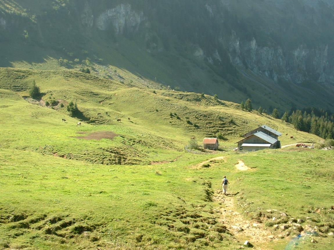 Chalet de balme restaurant