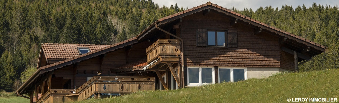 Chalet à vendre gerardmer