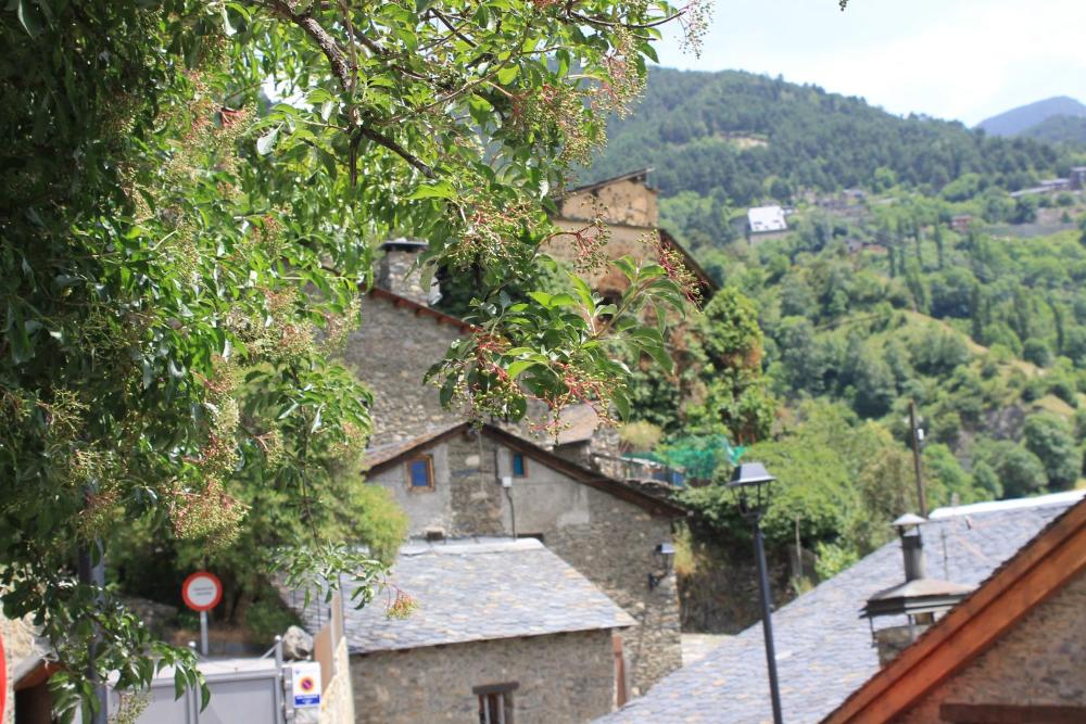 Chalet grandvalira