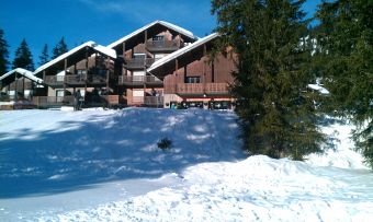 Location chalet praz de lys sommand