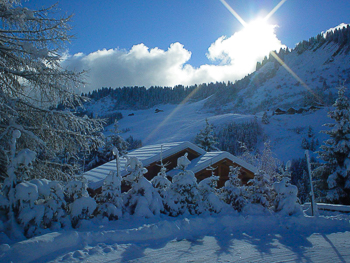Vaisselle style chalet