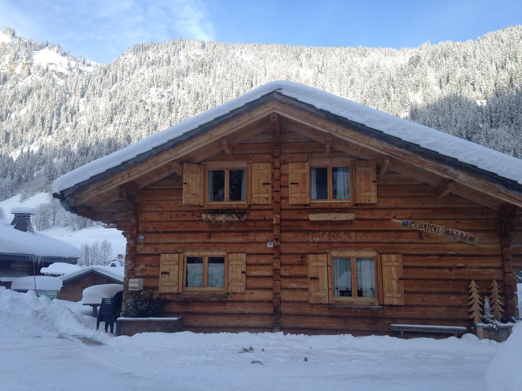 Chalet à chatel