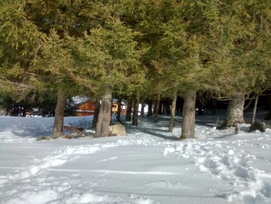 Enneigement le mourtis chalet de l'isard