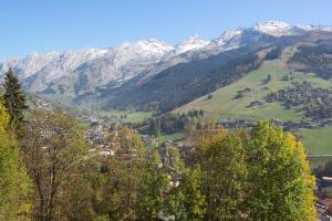 Chalet seraphine la clusaz