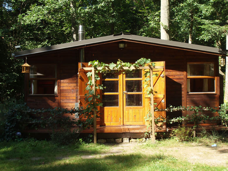 Vente chalet ile de france