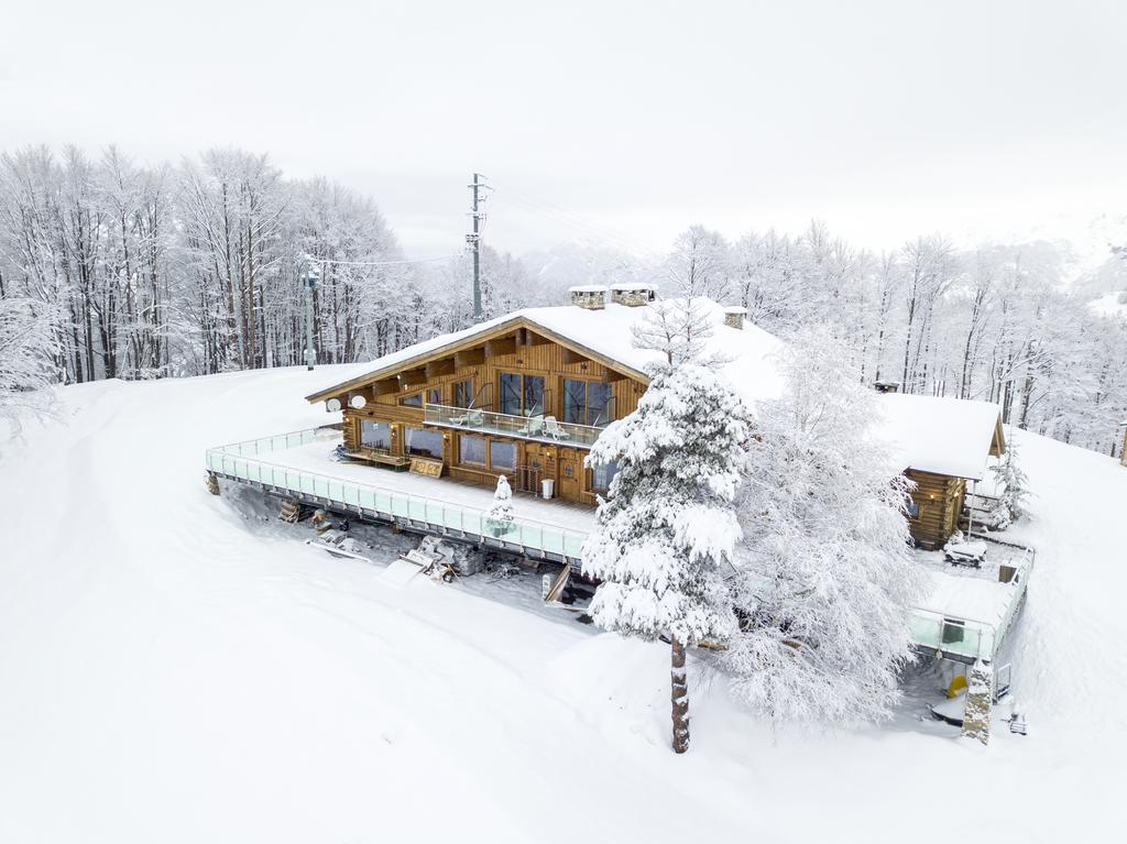 Location chalet limone
