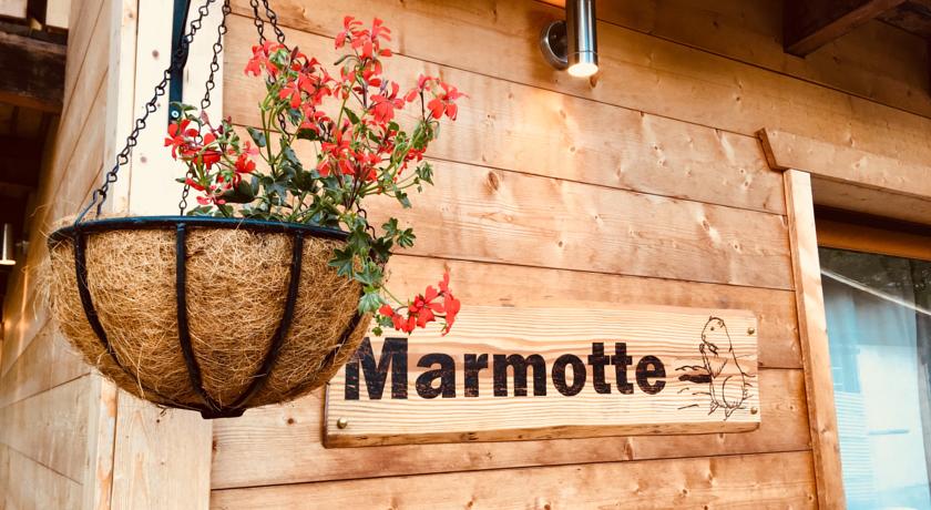 Chalet marmotte morzine