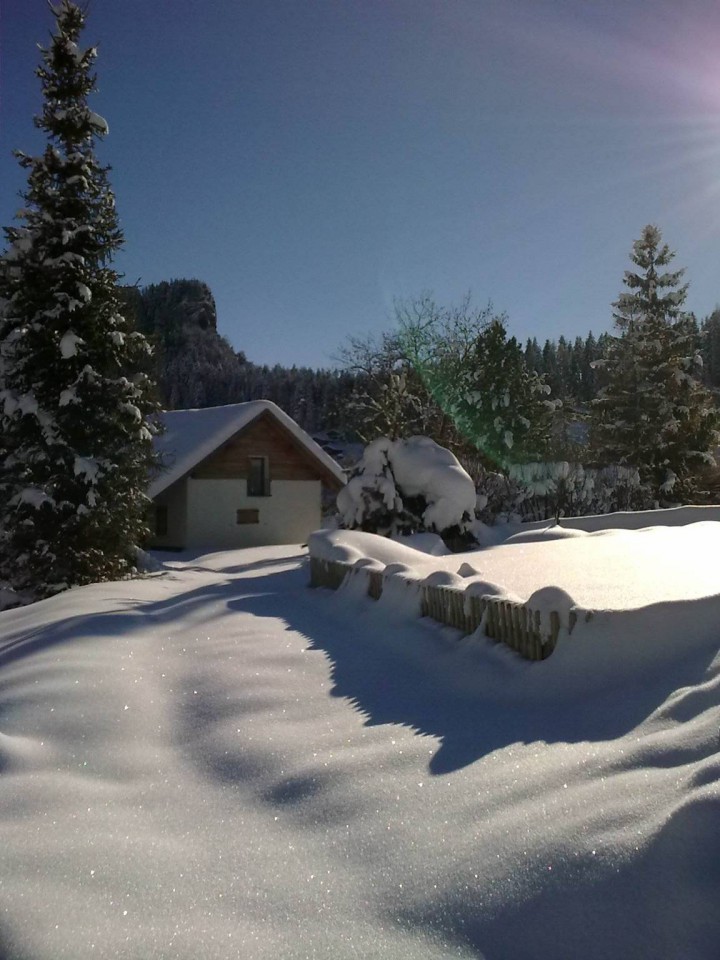 Chalet à louer ovronnaz
