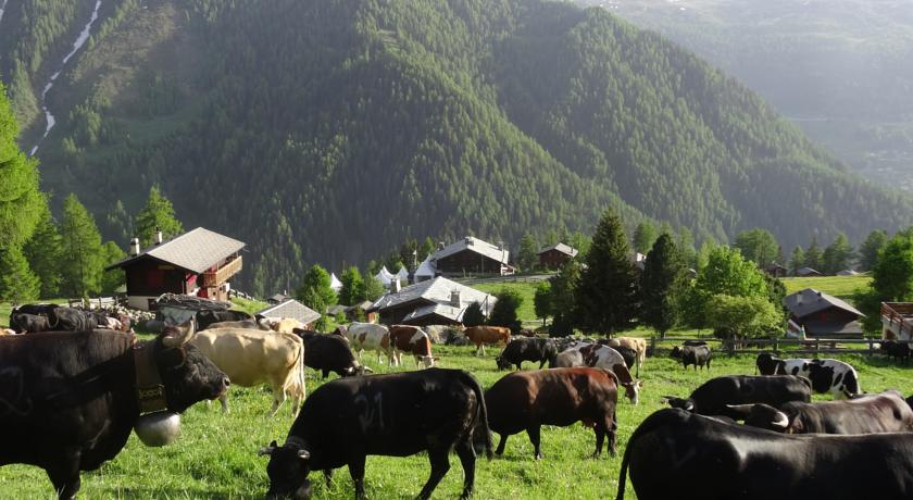 Chalet des alpes prarion