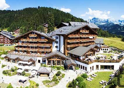 Chalet pyrénées 2000