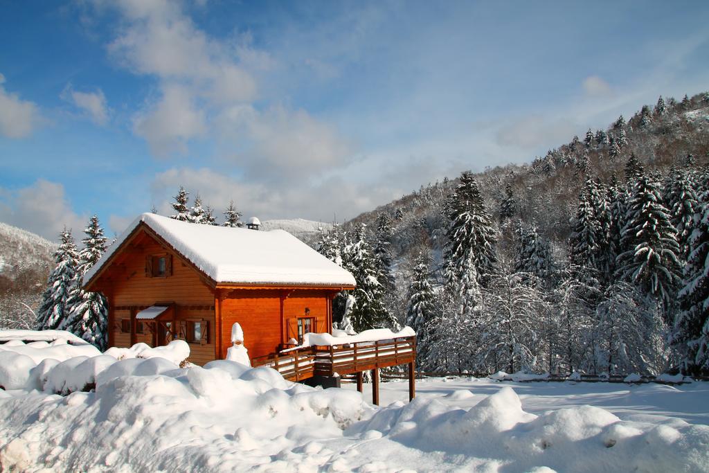 Chalet la gringeotte