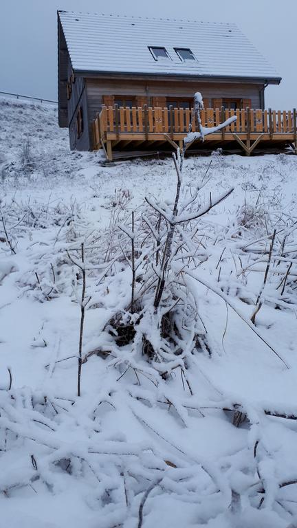 Chastreix location chalet