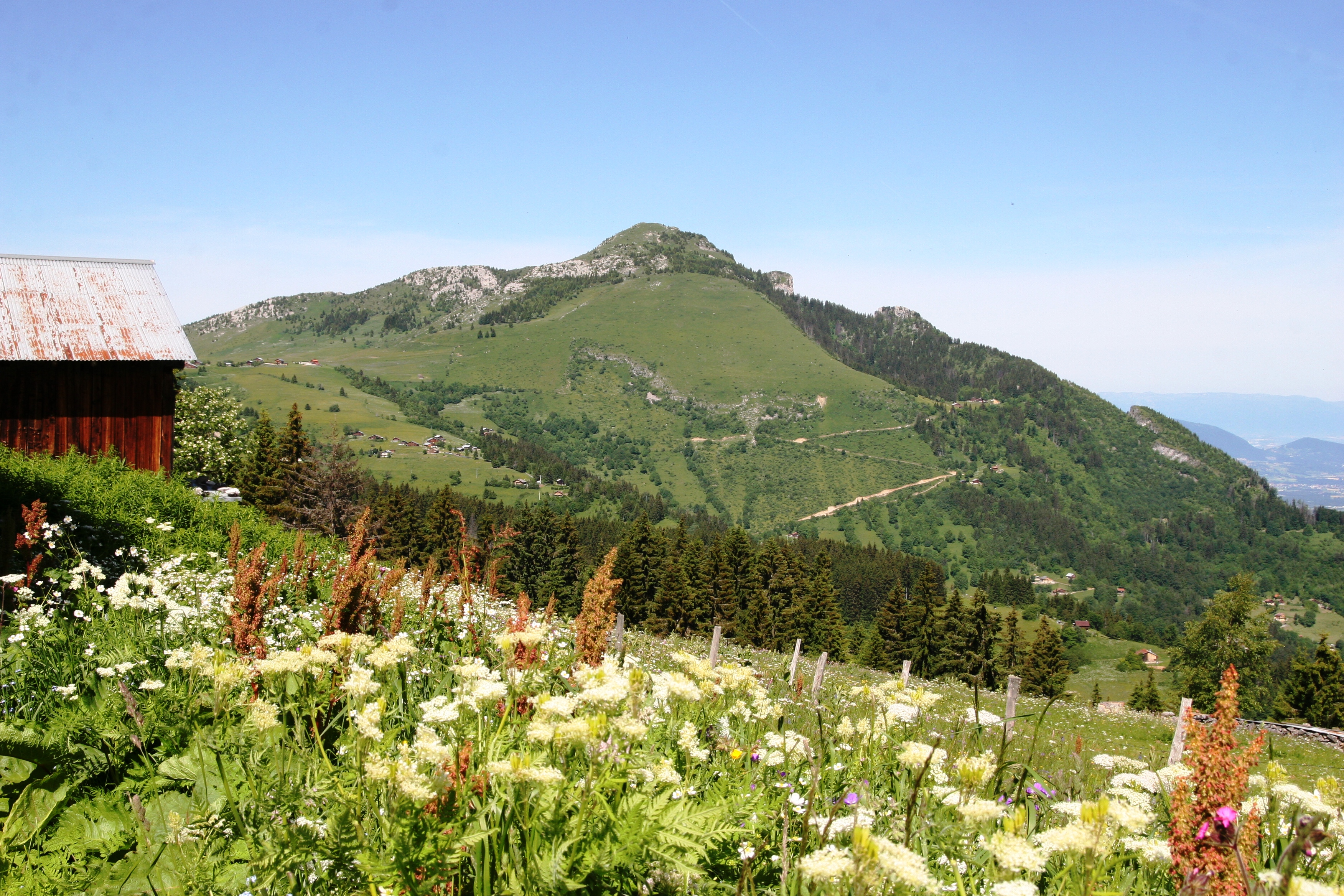 Chalet d'andey