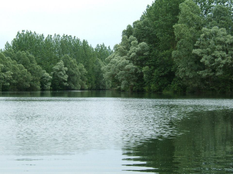 Domaine peche carpe avec chalet