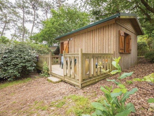 Chalet bungalow bois