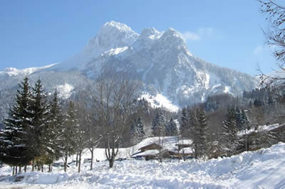 Chalet le chenex
