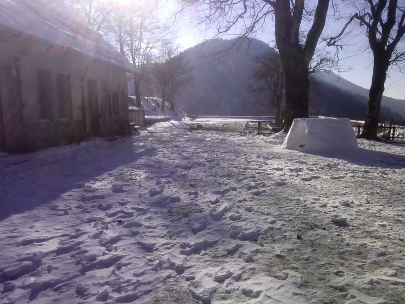 Chalet d'arvière