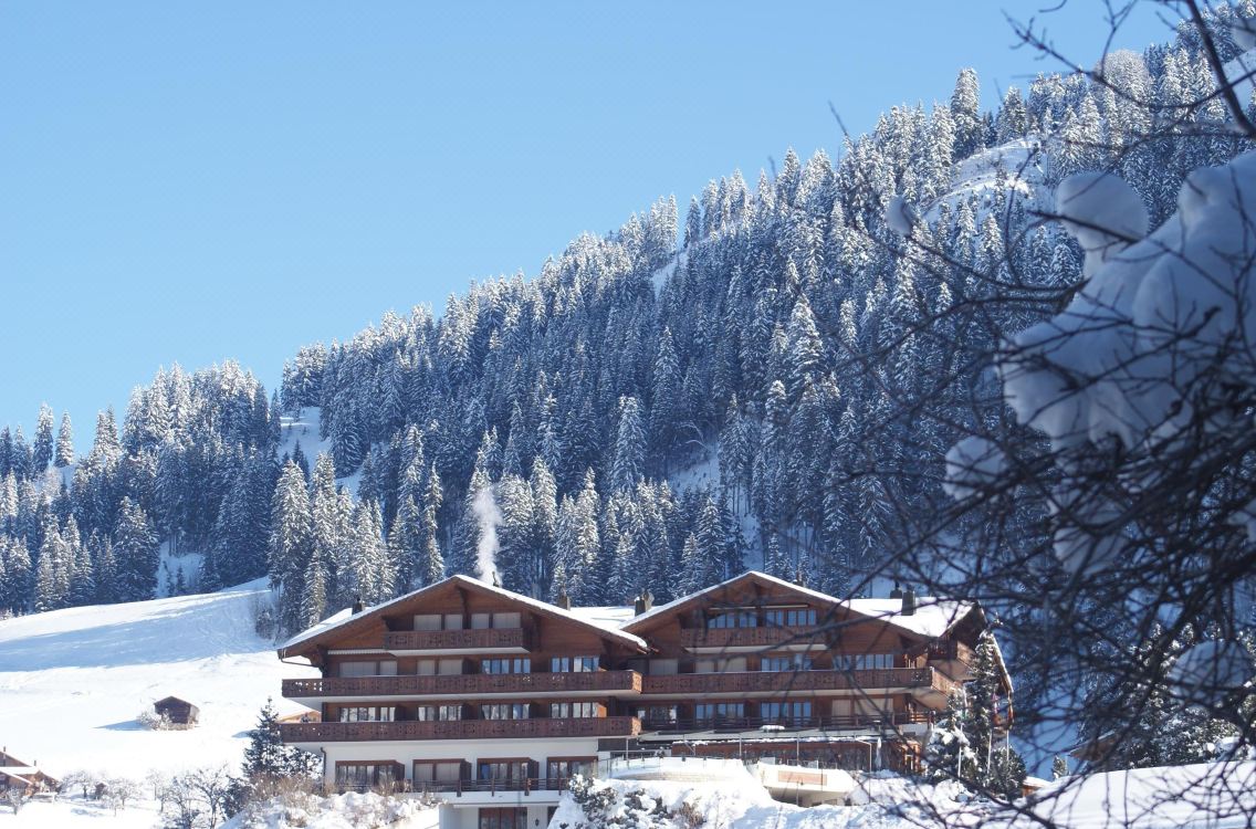Geniesserhotel le grand chalet