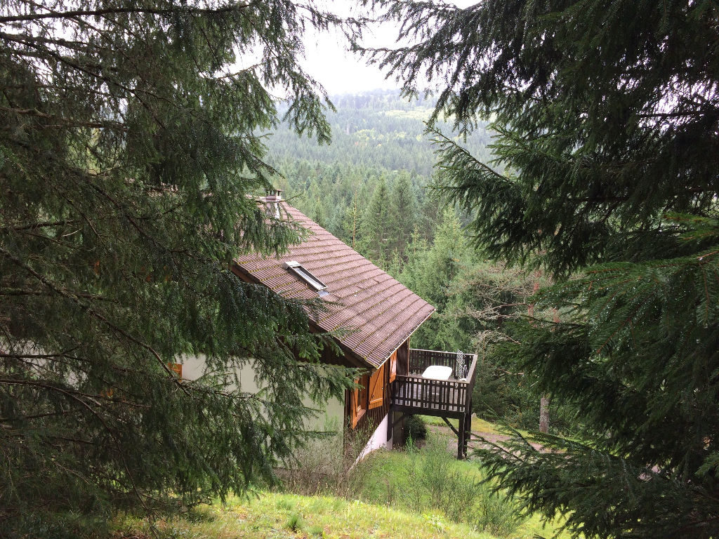 Chalet a vendre vosges xonrupt