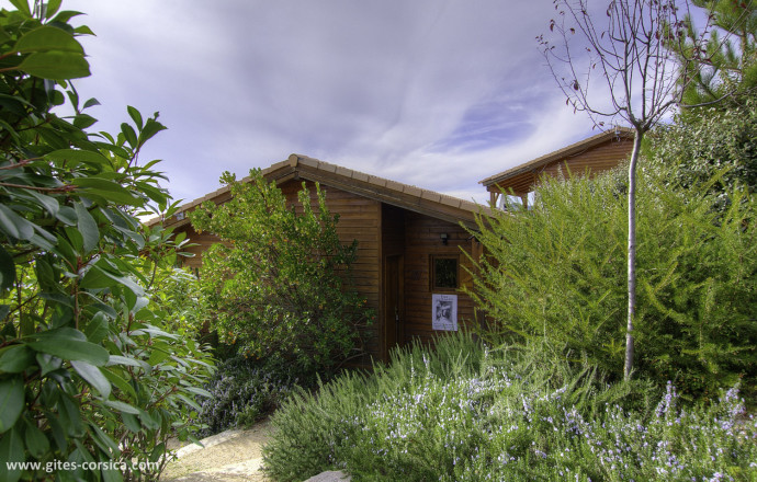Chalet corse du sud