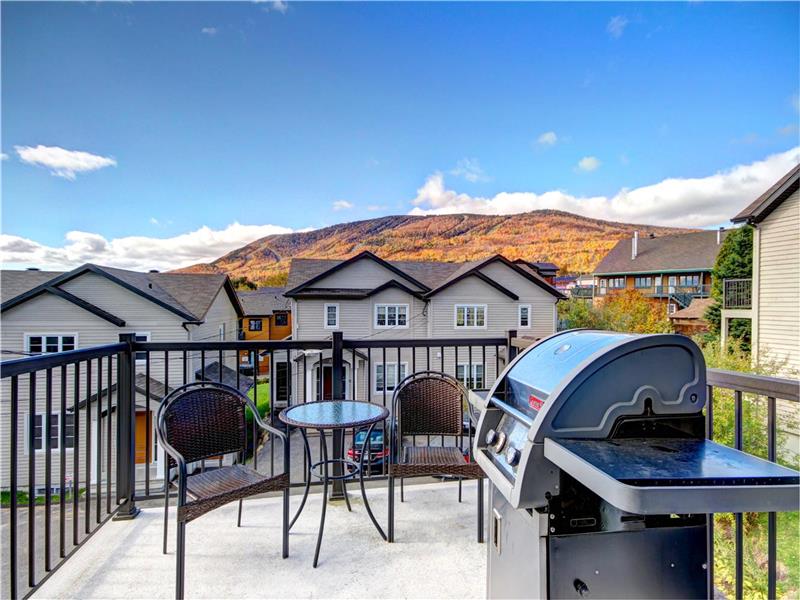Chalet a louer mont st anne