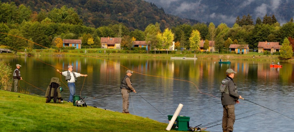 Chalet avec etang a vendre vosges