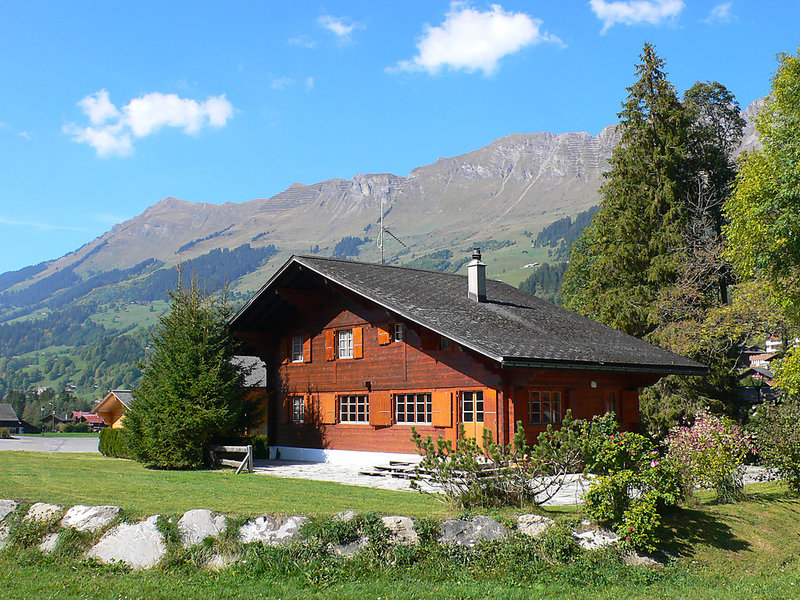 Chalet les diablerets
