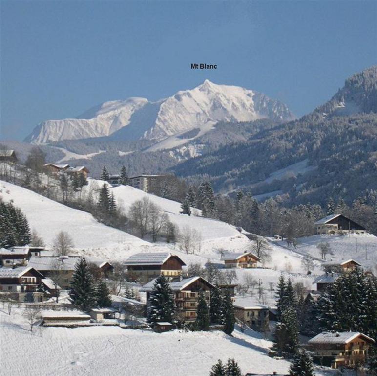 Chalet mon idole