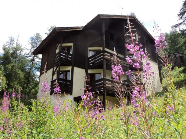 Chalet les arolles les orres