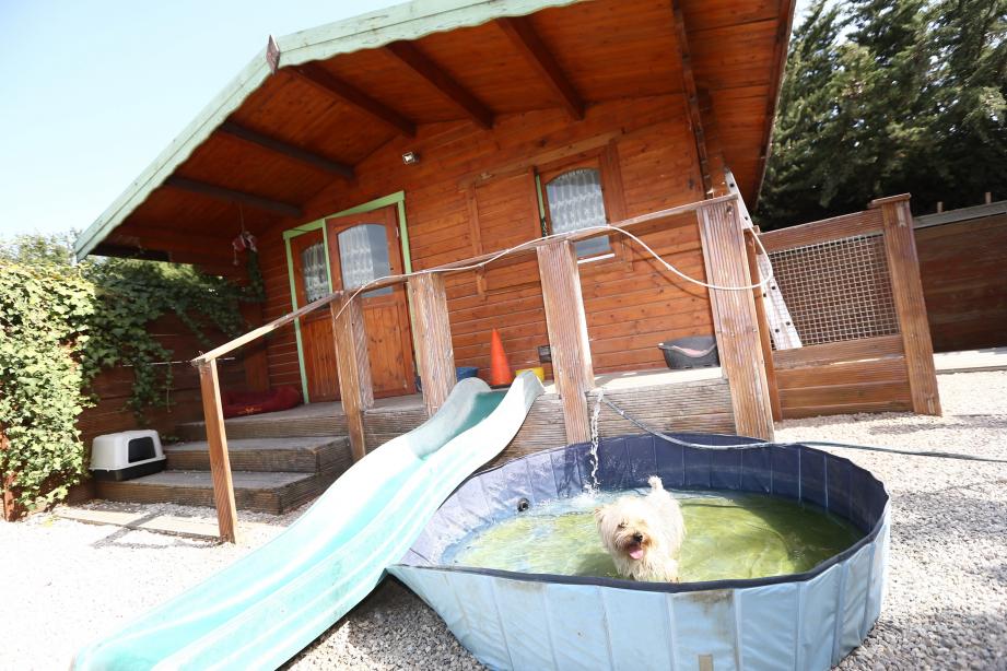 Synonyme chalet