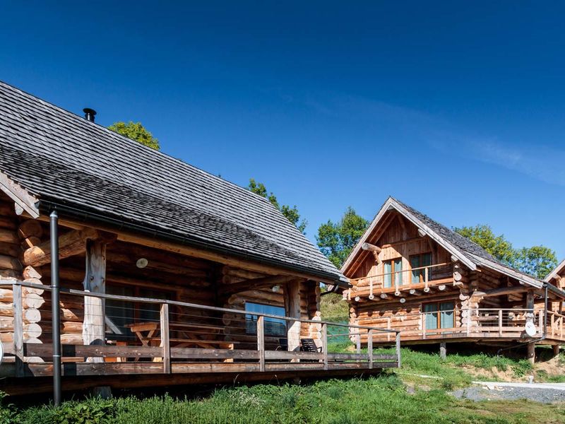 Location chalet lac de chambon