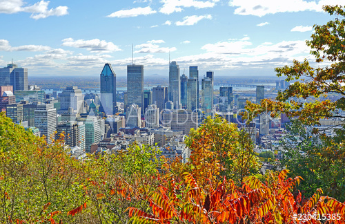 Belvedere du chalet montreal
