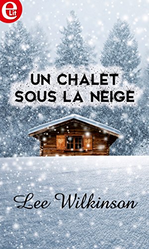 Chalet sous la neige