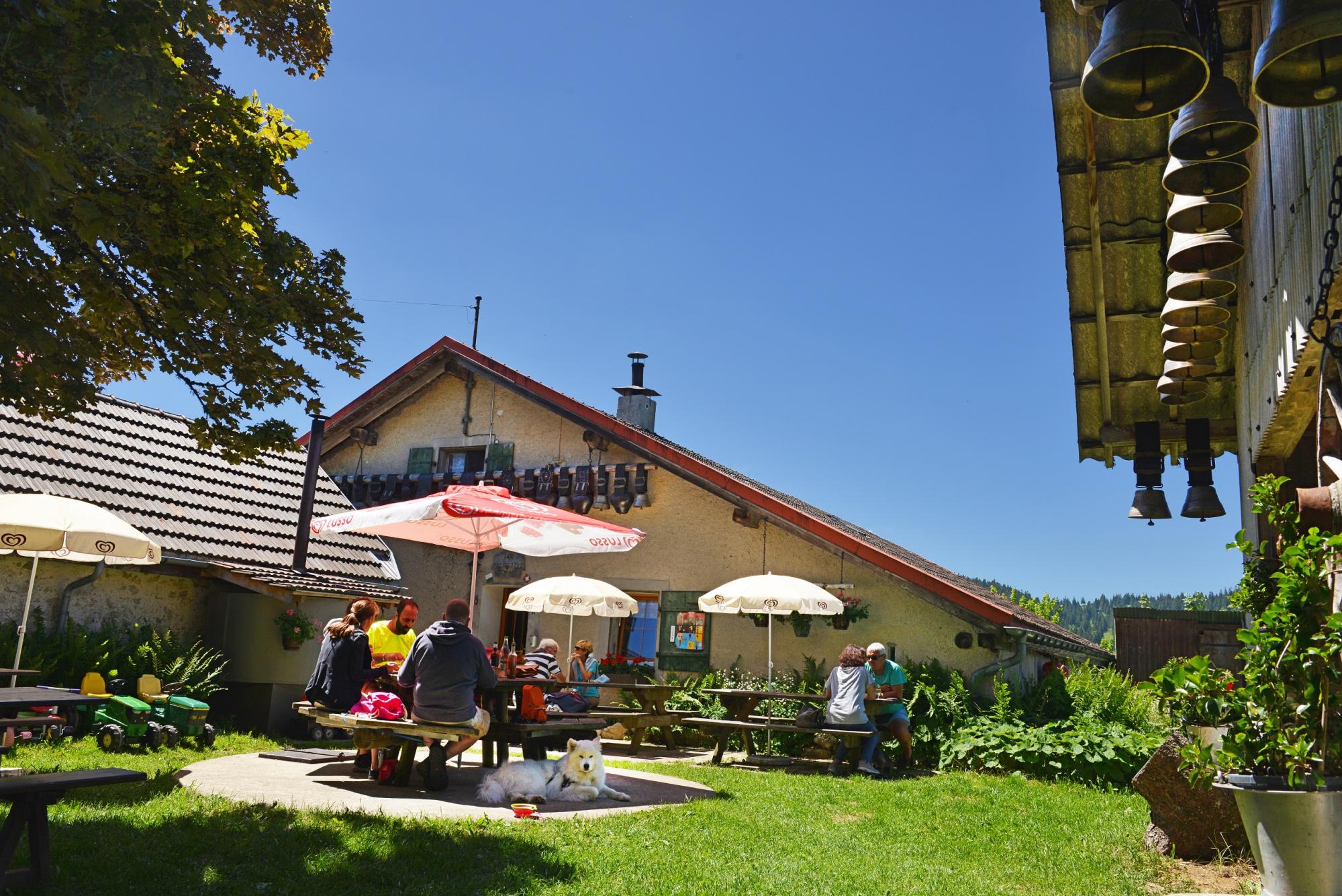 Chalet pret a monter