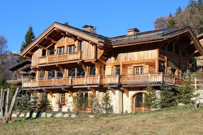 Chalet en bois couleur