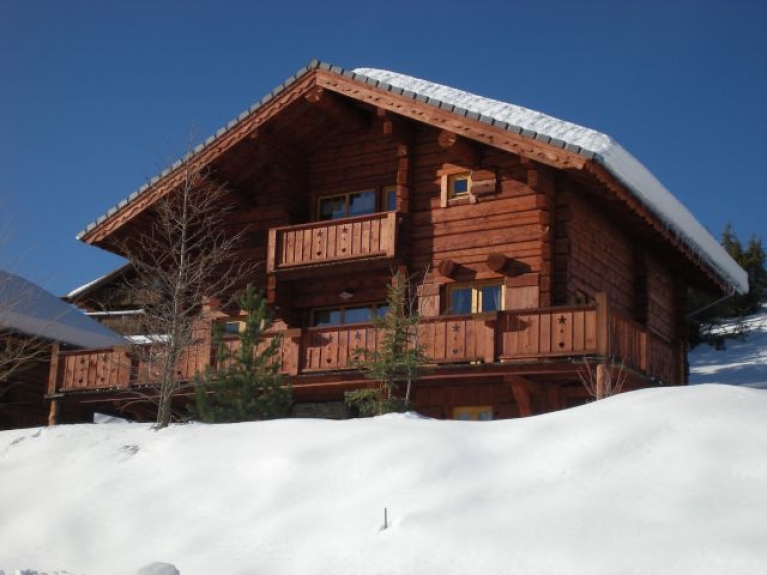 Chalet montagne pied des pistes