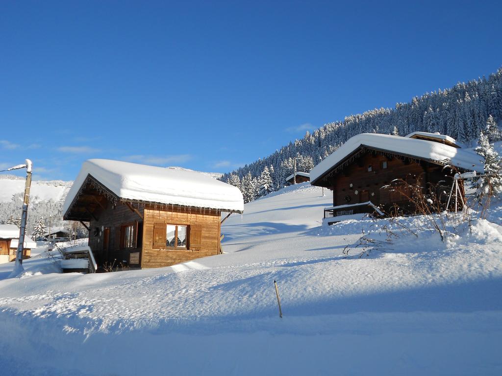 Chalet en savoie