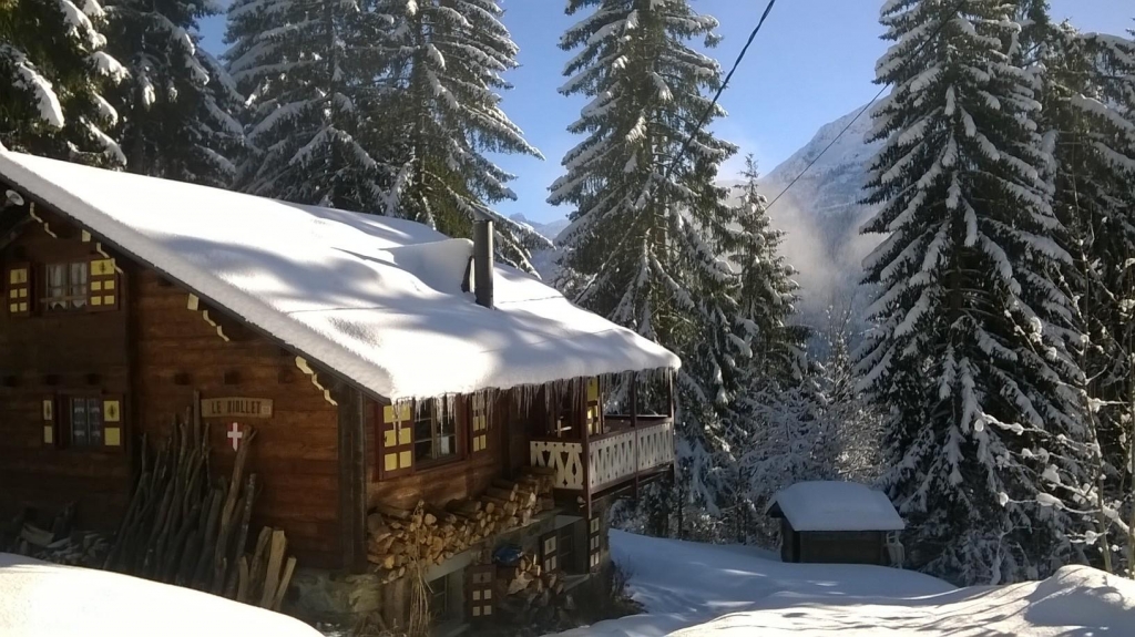 Chalet-montagne.com les saisies