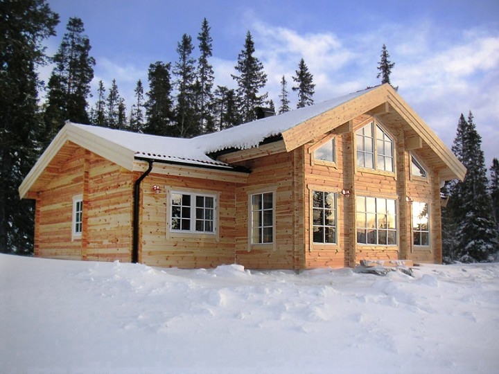 Chalet en kit 974
