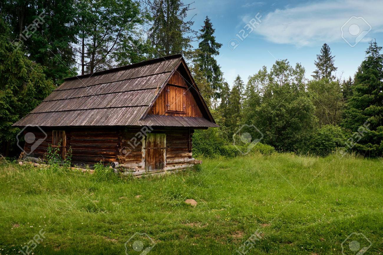 Chalet en bois foret